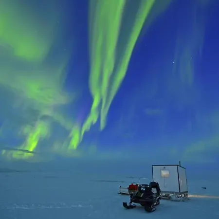 Authentic Sami Reindeer Herding Adventure In Arctic Norway Lodge *